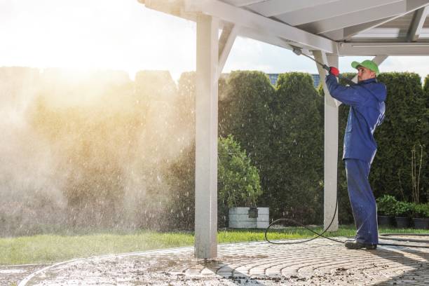Best Driveway Pressure Washing  in Holstein, IA